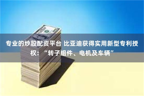 专业的炒股配资平台 比亚迪获得实用新型专利授权：“转子组件、电机及车辆”