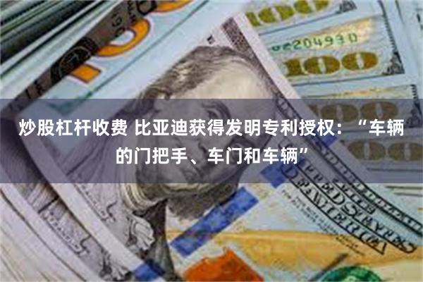 炒股杠杆收费 比亚迪获得发明专利授权：“车辆的门把手、车门和车辆”