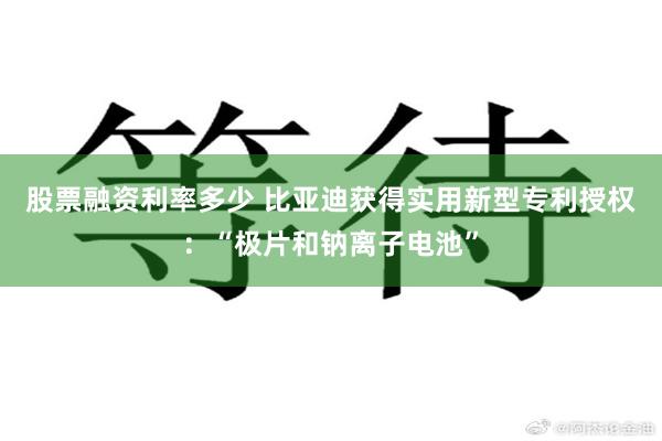 股票融资利率多少 比亚迪获得实用新型专利授权：“极片和钠离子电池”