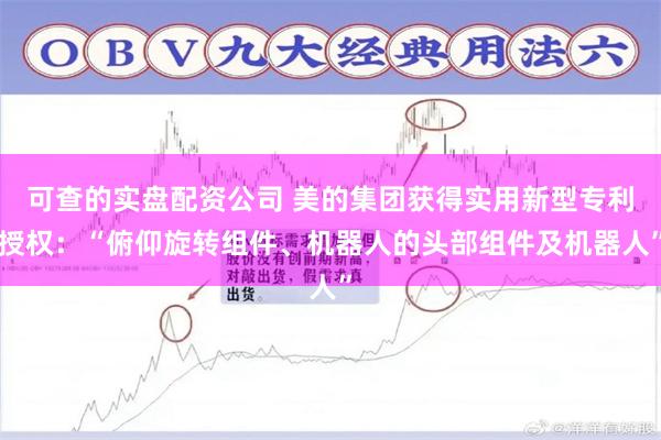 可查的实盘配资公司 美的集团获得实用新型专利授权：“俯仰旋转组件、机器人的头部组件及机器人”