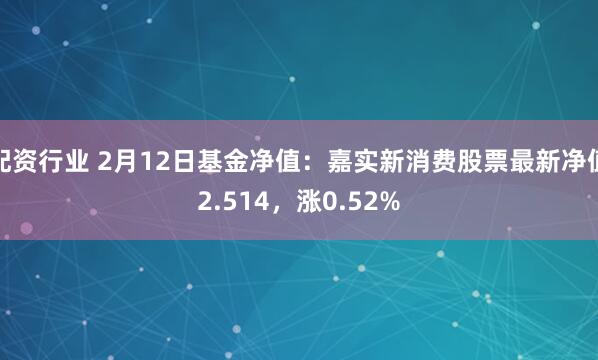 配资行业 2月12日基金净值：嘉实新消费股票最新净值2.514，涨0.52%