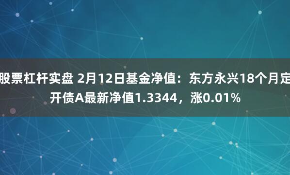 股票杠杆实盘 2月12日基金净值：东方永兴18个月定开债A最新净值1.3344，涨0.01%