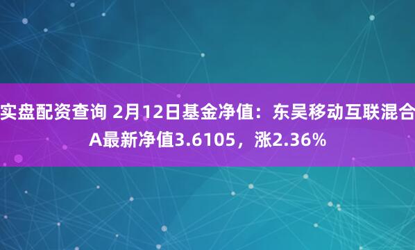 实盘配资查询 2月12日基金净值：东吴移动互联混合A最新净值3.6105，涨2.36%