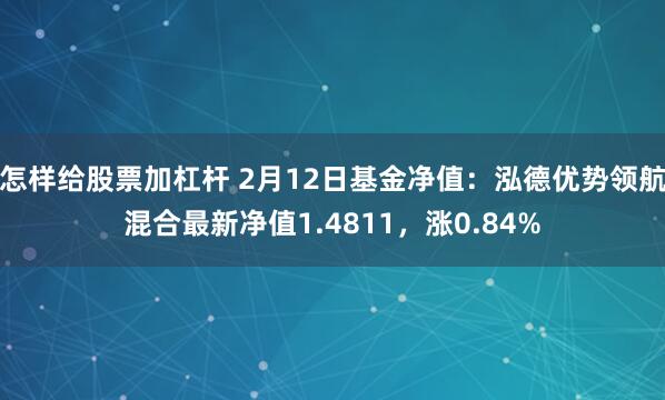 怎样给股票加杠杆 2月12日基金净值：泓德优势领航混合最新净值1.4811，涨0.84%