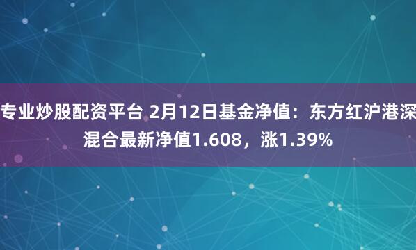 专业炒股配资平台 2月12日基金净值：东方红沪港深混合最新净值1.608，涨1.39%