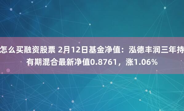 怎么买融资股票 2月12日基金净值：泓德丰润三年持有期混合最新净值0.8761，涨1.06%