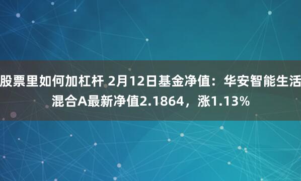 股票里如何加杠杆 2月12日基金净值：华安智能生活混合A最新净值2.1864，涨1.13%