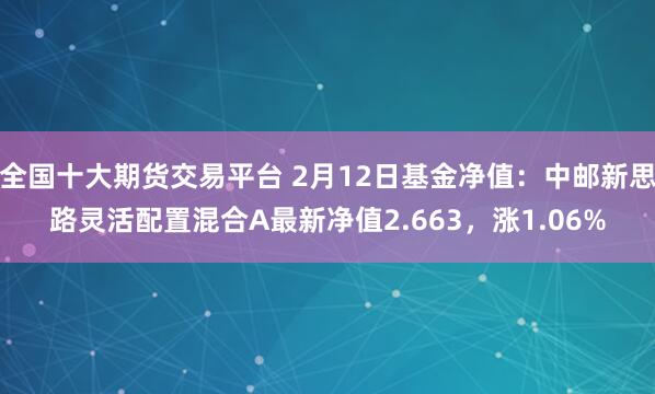 全国十大期货交易平台 2月12日基金净值：中邮新思路灵活配置混合A最新净值2.663，涨1.06%