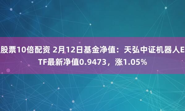 股票10倍配资 2月12日基金净值：天弘中证机器人ETF最新净值0.9473，涨1.05%