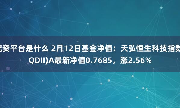 配资平台是什么 2月12日基金净值：天弘恒生科技指数(QDII)A最新净值0.7685，涨2.56%