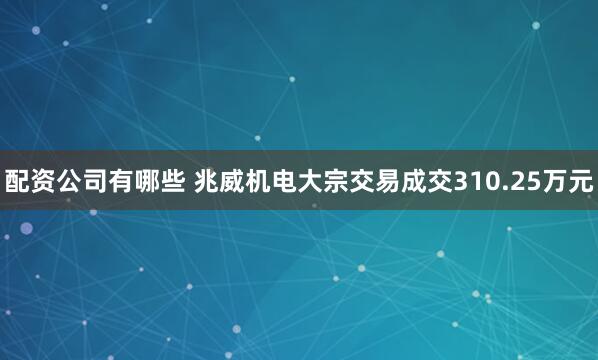 配资公司有哪些 兆威机电大宗交易成交310.25万元