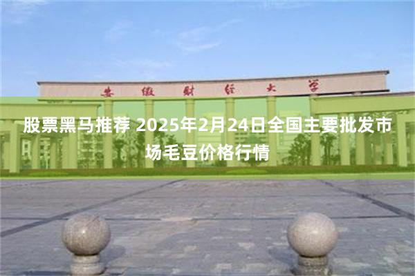 股票黑马推荐 2025年2月24日全国主要批发市场毛豆价格行情