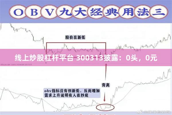 线上炒股杠杆平台 300313披露：0头，0元