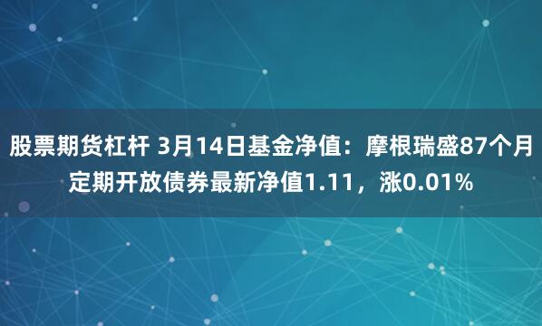 股票期货杠杆 3月14日基金净值：摩根瑞盛87个月定期开放债券最新净值1.11，涨0.01%